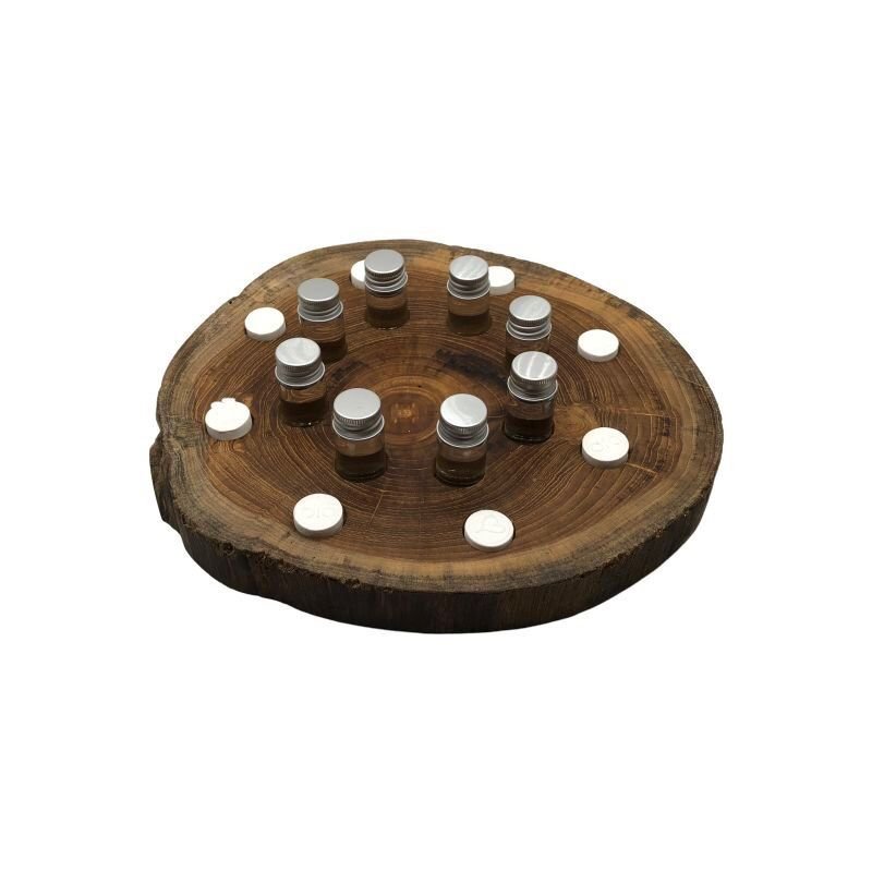 Tronco Base Múltiple para Eventos
